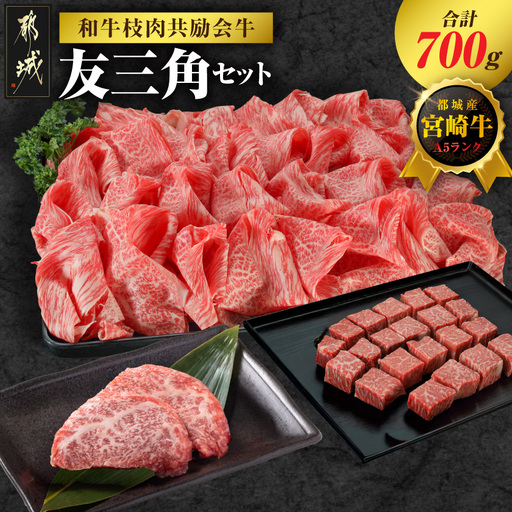 [和牛枝肉共励会牛](A5)宮崎牛友三角セット_18-25-009_(都城市) 宮崎県 宮崎牛 友三角 モモ ステーキ サイコロ 赤身 ウデ・モモ 切り落とし 真空 品評会出展牛 特別セット