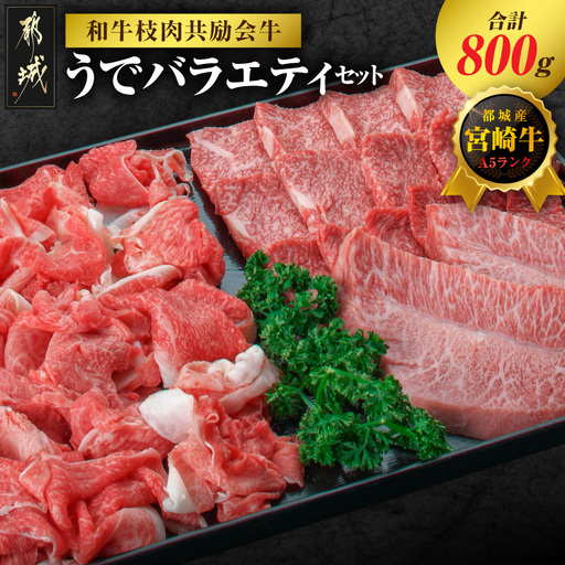 [和牛枝肉共励会牛](A5)宮崎牛うでバラエティセット_21-25-010_(都城市) 宮崎県 宮崎牛 ウデ 肩 ミスジ ステーキ 焼肉 切り落とし 真空 品評会出展牛 特別セット