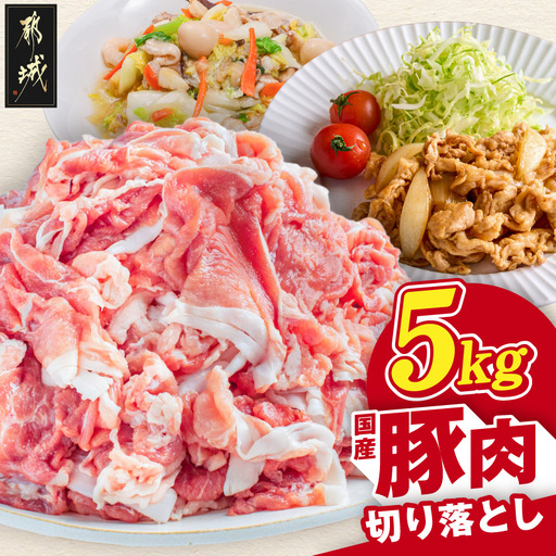 国産豚肉切り落とし5kg(250g×20P)〔MJ-89-008-5kg〕_(都城市)