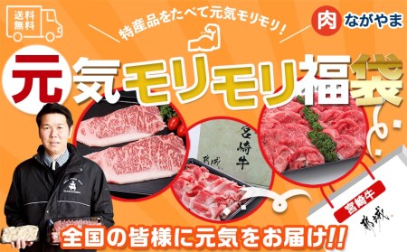 [元気モリモリ福袋]宮崎牛切り落とし・鉄板焼き用サーロイン2枚セット_AE-2501_(都城市) A4 4等級 牛肉 牛バラ切り落とし肉 牛ウデ・牛モモ切り落とし肉 各500g