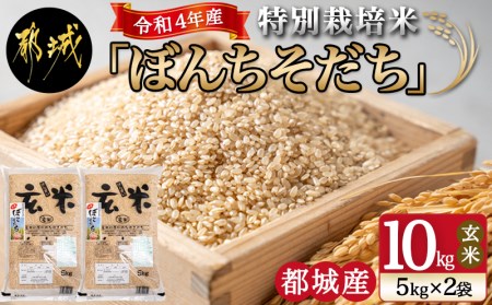 【玄米】特別栽培米ぼんちそだち10kg_MJ-I102