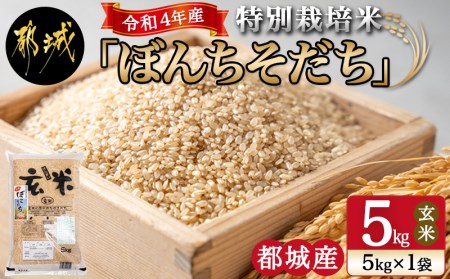 【玄米】特別栽培米ぼんちそだち5kg_AA-I102