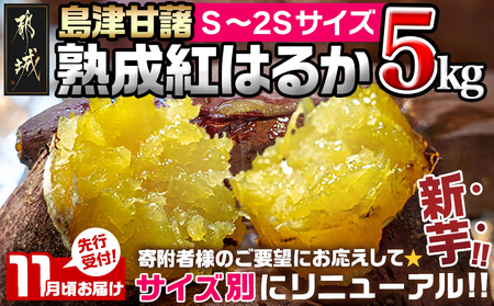 先行受付![11月お届け]島津甘藷 熟成紅はるか 5kg(S〜2S)_LD-A701-m-11_(都城市) 島津甘藷 紅はるか サツマイモ 未選別 5kg S〜2S 新芋