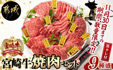 【数量限定】宮崎牛9種盛り焼肉セット_AC-3103