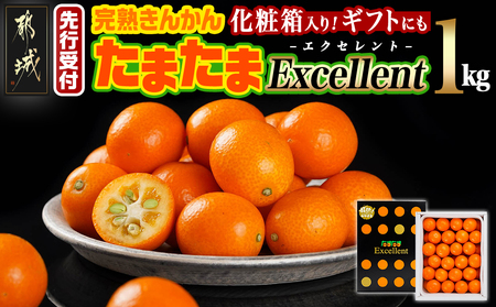 [先行受付!] 完熟きんかん「たまたま Excellent」1kg (化粧箱入)_AC-0113_(都城市) みやざきブランド 完熟きんかん たまたま 糖度18度以上 2L(直径3.2cm)以上 Excellent 専用化粧箱入り