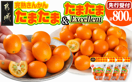 [先行受付!] 完熟きんかん「たまたまL」&「たまたまExcellent」 計800g (スタンドパック入り)_AO-0103_(都城市) みやざきブランド 完熟きんかん 糖度16度以上 大きさ直径2.8cm以上 金柑の最高峰 エクセレント 糖度18度 サイズ2L