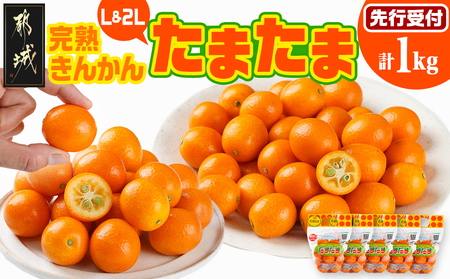 [先行受付!] 完熟きんかん「たまたまL&2L」 計1kg (スタンドパック入り)_AO-0104_(都城市) みやざきブランド 完熟きんかん たまたま Lサイズ 2Lサイズ スタンドパック