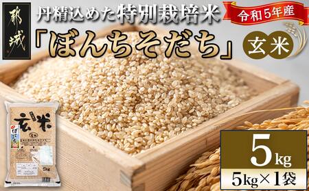 【玄米】特別栽培米ぼんちそだち5kg_AA-2204_(都城市) 都城産 米 玄米 特別栽培米 ぼんちそだち 5kg