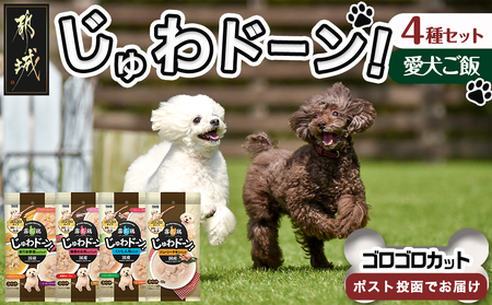 ≪愛犬ご飯≫霧島鶏じゅわドーン!ゴロゴロカット4種セット※ポスト投函_LC-3304_(都城市) ゴロゴロカット 4種 角切り 国産鶏肉 成犬 犬用 野菜 お肉 ポスト投函