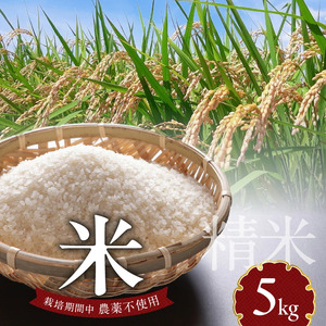 米 5kg N0182-YA978