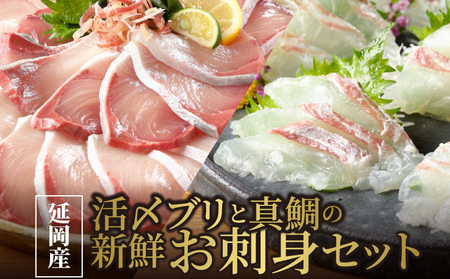 延岡産活〆ブリと真鯛の新鮮お刺身セット