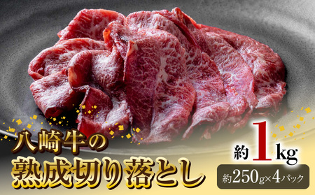 苍̏n؂藎Ƃ1kg N0105-YA944