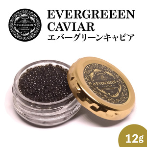 宮崎県産キャビア EVERGREEEN CAVIAR エバーグリーンキャビア 12g N0183-