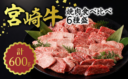宮崎牛焼肉食べ比べ6種盛600g N0140-