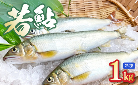 若鮎1kg[冷凍] N070-YA3369_2