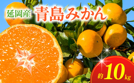 ݂i10kgj12{甭 N050-YA979