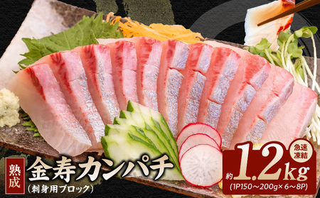 冷凍熟成金寿カンパチ1200g(刺身用ブロック)