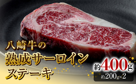 苍̏nT[CXe[L200g×2 N0105-YB822