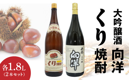 くり焼酎 向洋(千徳)酒セット