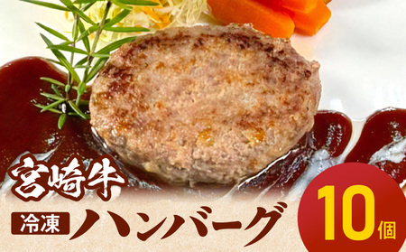 宮崎牛ハンバーグ100g×10個