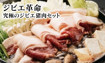 ジビエ革命〜究極のジビエ 猪肉セット
