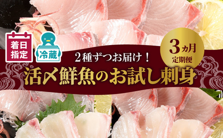 人気のお刺身3ヶ月定期便 少量2種ずつお届け