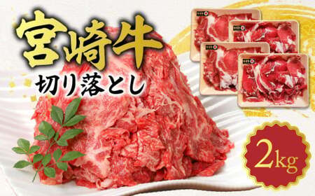 {苍 ؂藎Ƃ 2kg N0140-YB922