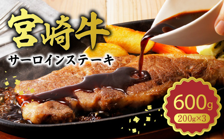 {苍 T[CXe[L600g N0140-YB727