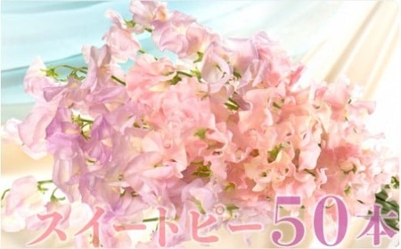 [1月〜3月発送]スイートピー50本