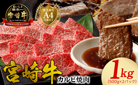 {苍 Jrē1kg N0140-YB540