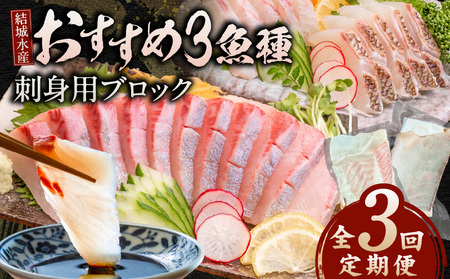 [3ヶ月定期便](冷蔵)結城水産おすすめ!お刺身用ブロック
