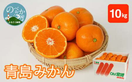 ݂ 10kg N0132-YB351