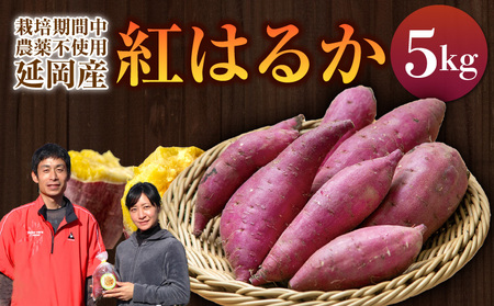 さつまいも 紅はるか 5kg