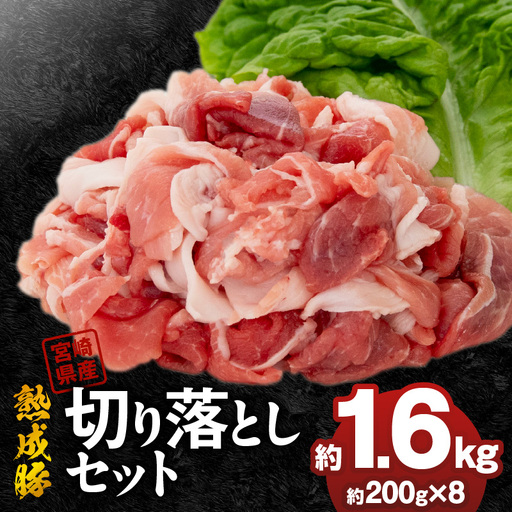 宮崎県産熟成豚 切り落としセット 約200g×8個 N0105-YA6603