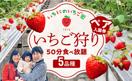 いちご狩り 5品種 食べ放題 50分 ペア入園券 いちにのいちご園