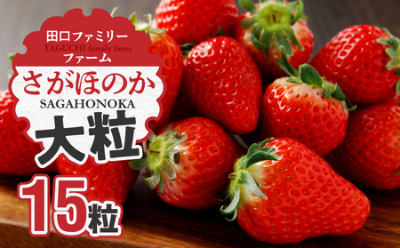 [田口ファミリーファーム]大粒完熟いちご(さがほのか)15粒(1月中旬発送開始)