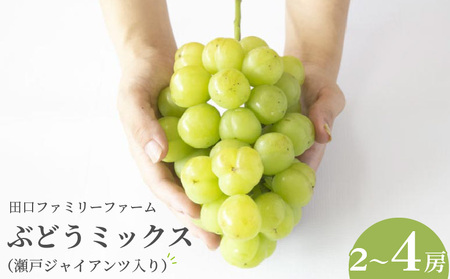 yçذ̧сzԂǂЯ(˃WCAc)2~4[(1.5kg~2kg)(2025N8{Jn) N053-YZB072