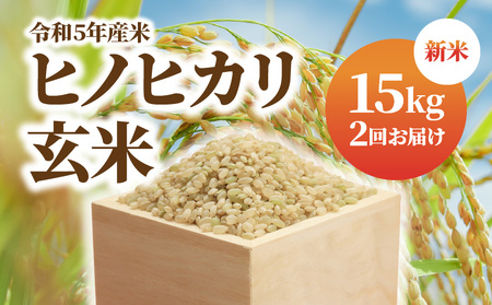 新米 令和5年産米 お米 玄米 ヒノヒカリ 15kg×2回 むかばき山 カームファム N0138-