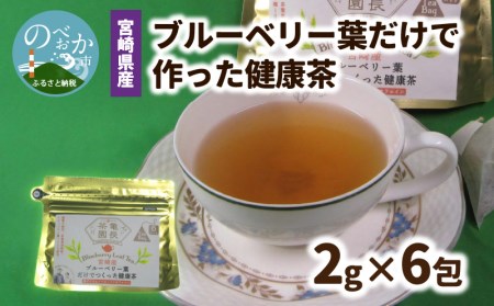 宮崎県産 ブルーベリー葉 だけで作った 健康茶 ポリフェノール