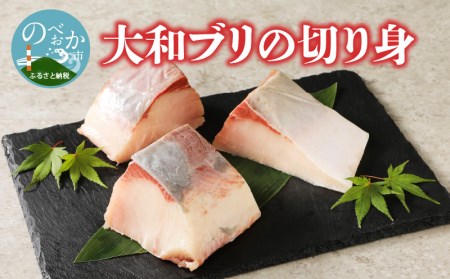 【大和海商】大和ブリの切り身　約600g N072-ZA179