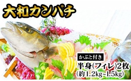 「大和カンパチ」 半身(フィレ)約1.2kg〜1.5kg×2枚 かぶと付き