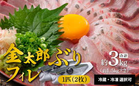 宮崎産 新海屋 鰤屋金太郎 金太郎 ぶり フィレ 1.3kg～ 1匹 2枚　冷凍　N018-ZC511_2