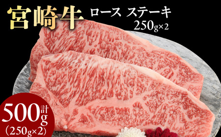 宮崎牛ロースステーキ250g×2計500g