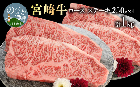 {苍[XXe[L250g×4 v1kg N0147-YD0256