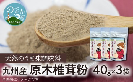 天然のうま味調味料「九州産原木椎茸粉」40g×3袋 N0155-ZA0189