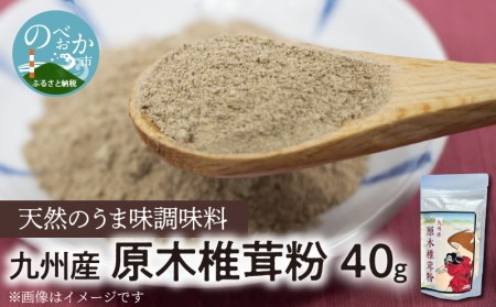 天然 うま味調味料 九州産 原木椎茸 粉 40g　A0190