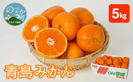 青島みかん 5kg