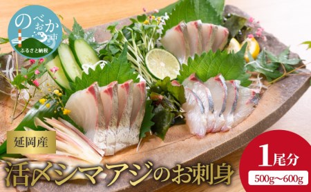 高級鮮魚！延岡産活〆シマアジのお刺身　500g～600g　A704　請関水産