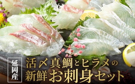 豪華白身の饗宴！延岡産活〆真鯛とヒラメの新鮮お刺身セット　N019-ZB809