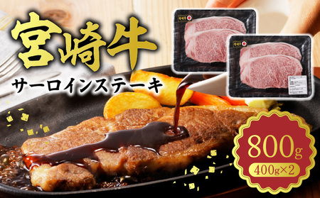{苍 T[CXe[L800g N0140-YC527